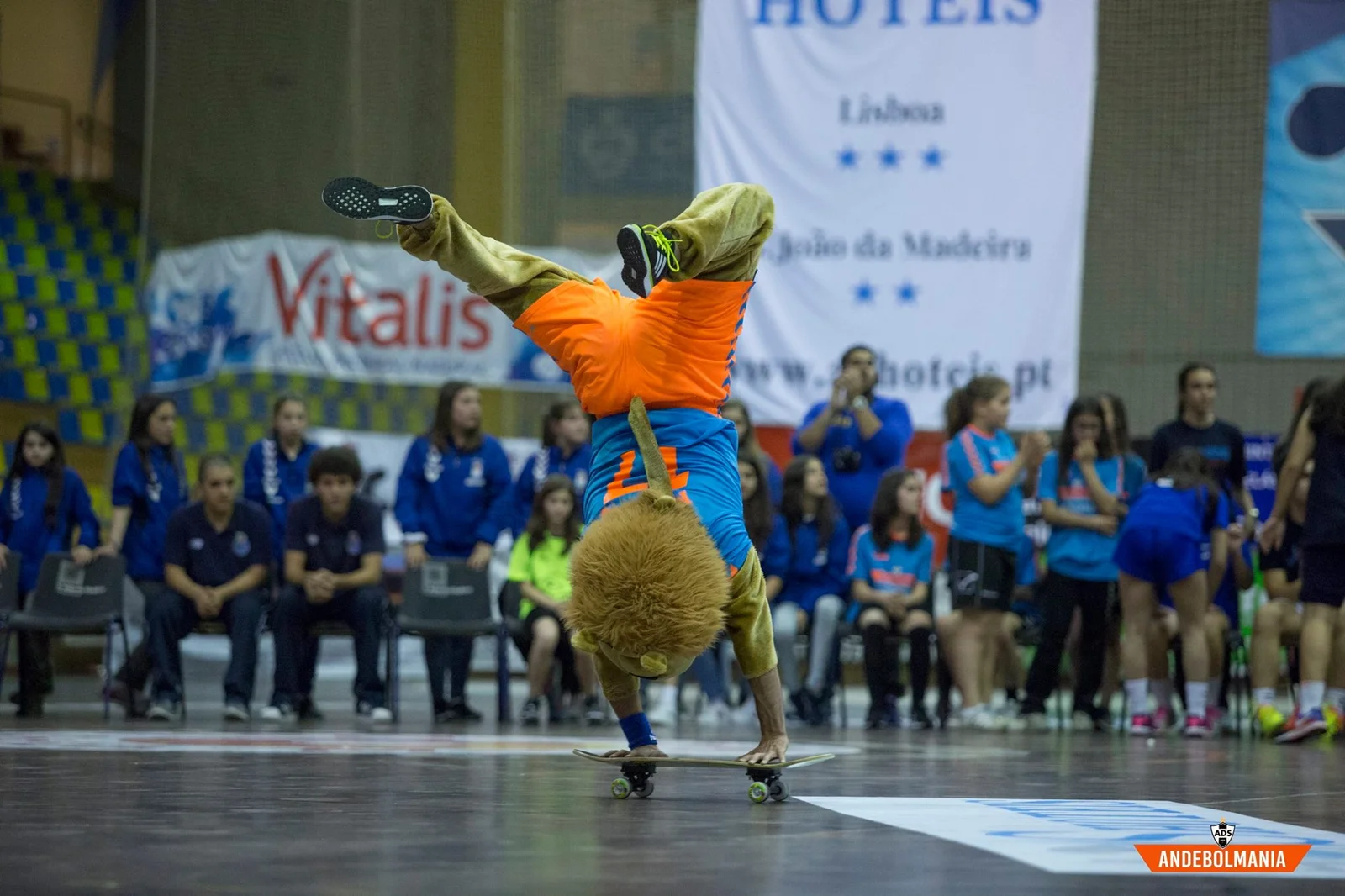 434394713_1459292958225480_5419318952258250580_n